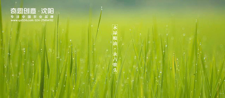 專業(yè)大米包裝品牌策劃設(shè)計(jì),專業(yè)大米標(biāo)識設(shè)計(jì),沈陽奇思創(chuàng)意 專業(yè)大米包裝品牌策劃設(shè)計(jì),專業(yè)大米標(biāo)識設(shè)計(jì),沈陽奇思創(chuàng)意