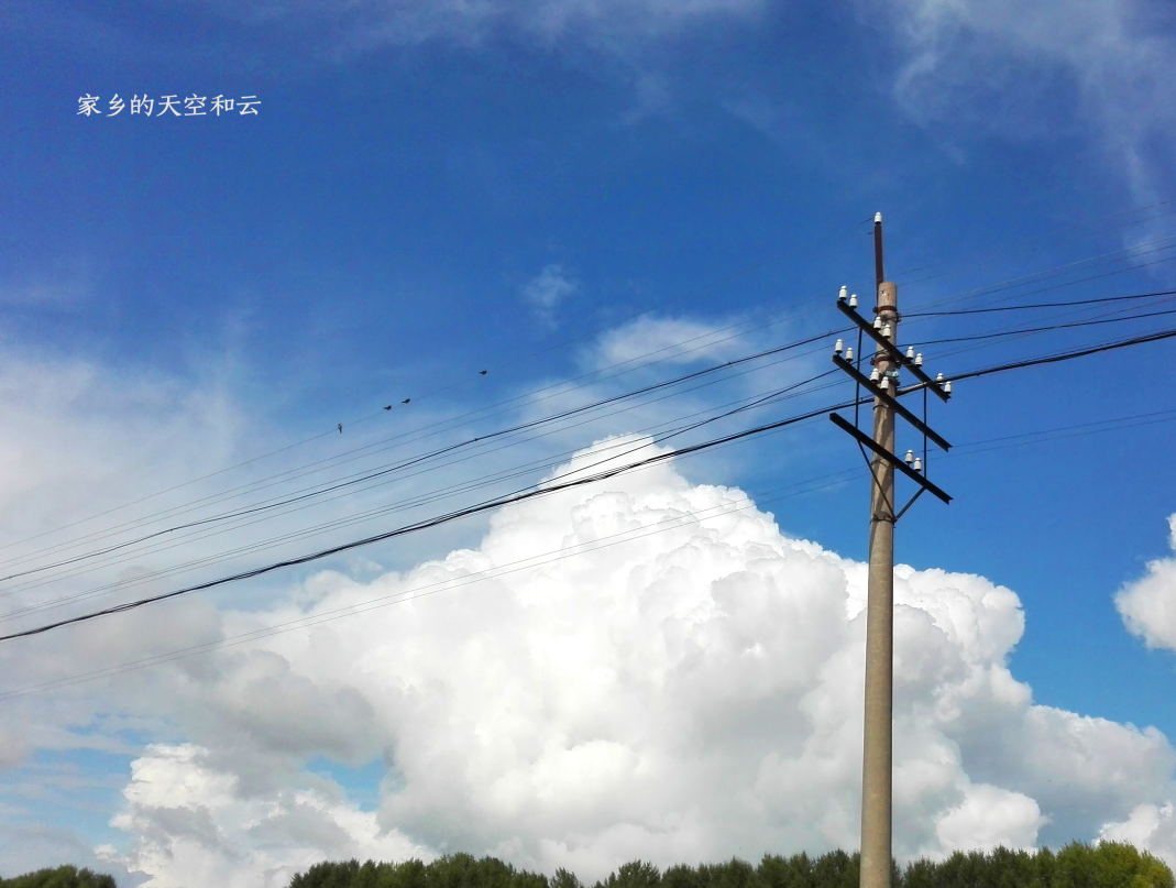 專業(yè)大米包裝設計 專業(yè)大米包裝設計